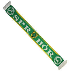 SPR BÓR OBORNIKI ŚLĄSKIE DOPÓKI WALCZYSZ JESTEŚ ZWYCIĘZCĄ SZALIK